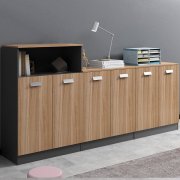 文件柜档案柜资料柜木质办公柜子储物柜办公室